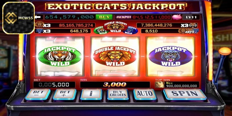 How to Play Hot jackpot slot game – Easy Guide for Beginners