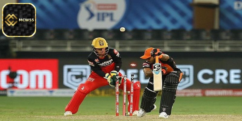 What is Live Cricket and why is it gaining popularity?