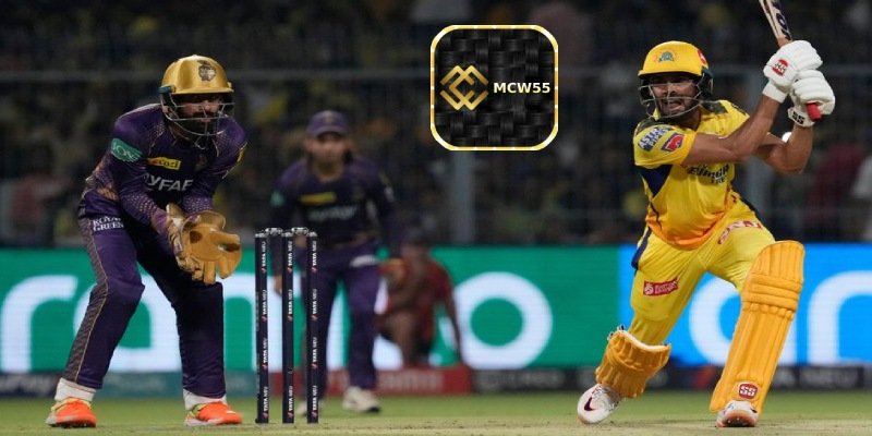 What is Online Cricket Betting?