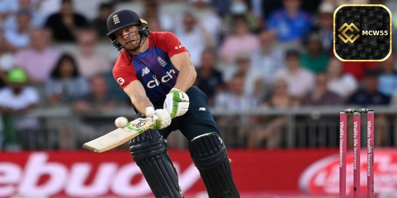 Why Choose Online Cricket Betting?